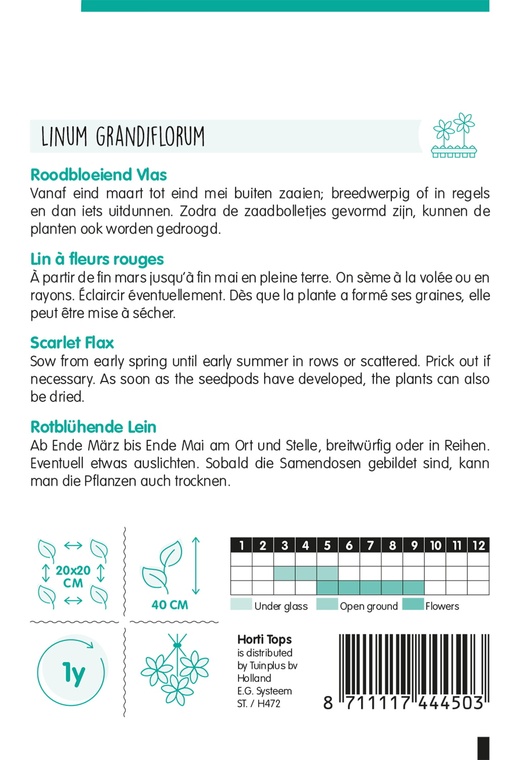 HT Linum, roodbloeiend Vlas
