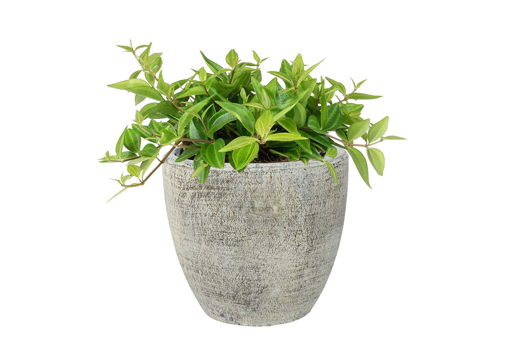 Pot Anne white earth D18 H17