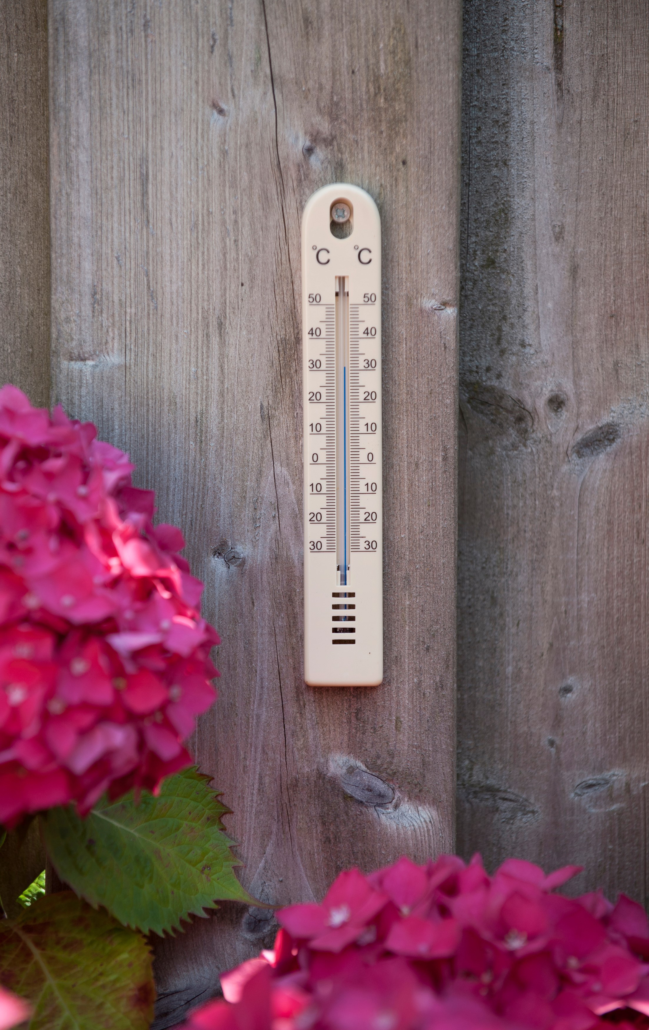 Muurthermometer kelvin 1 beige