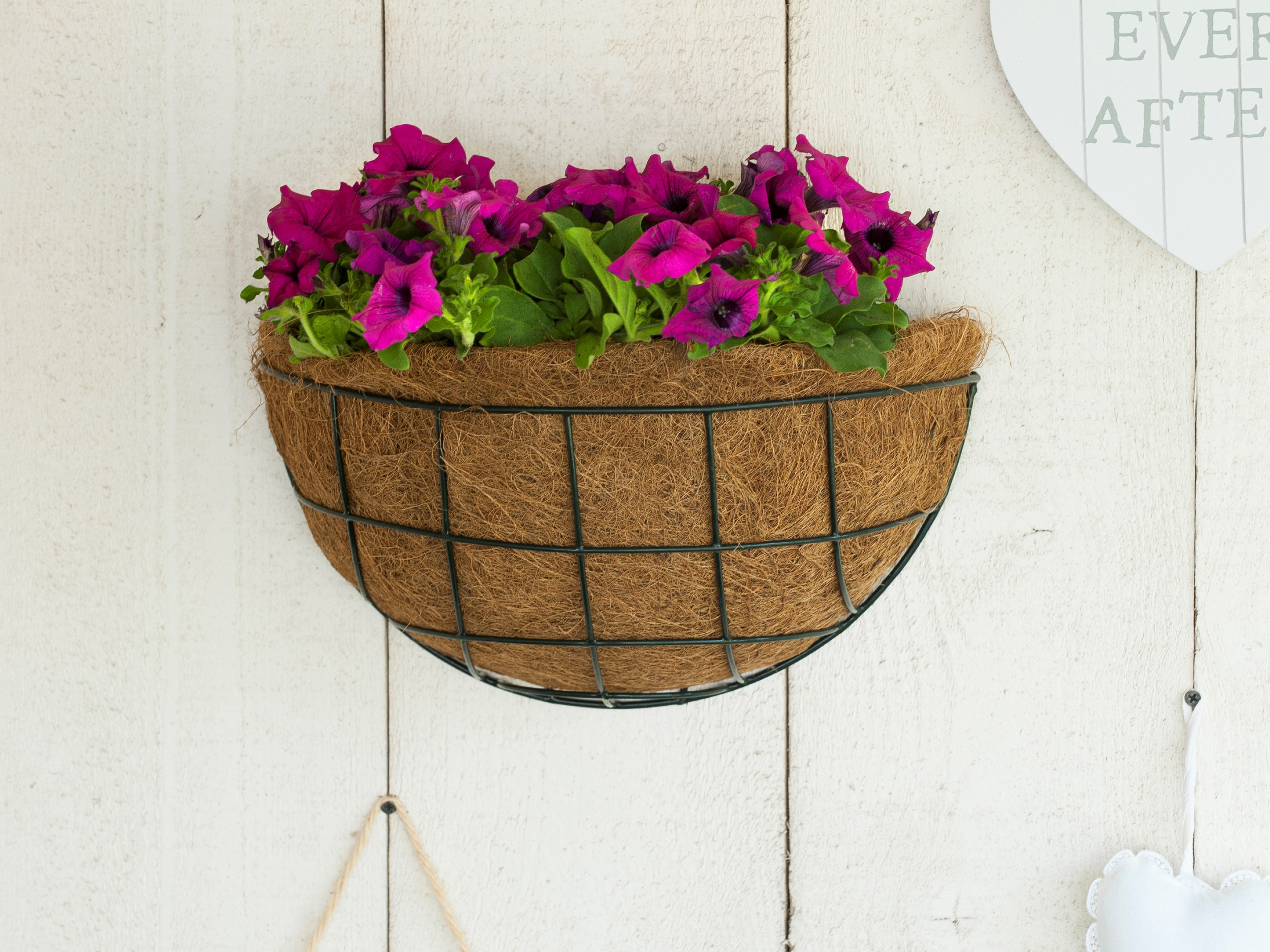 Hanging Basket groen H17x½ D35cm