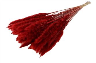 Bos Pampa fluffy rood 35 gr.