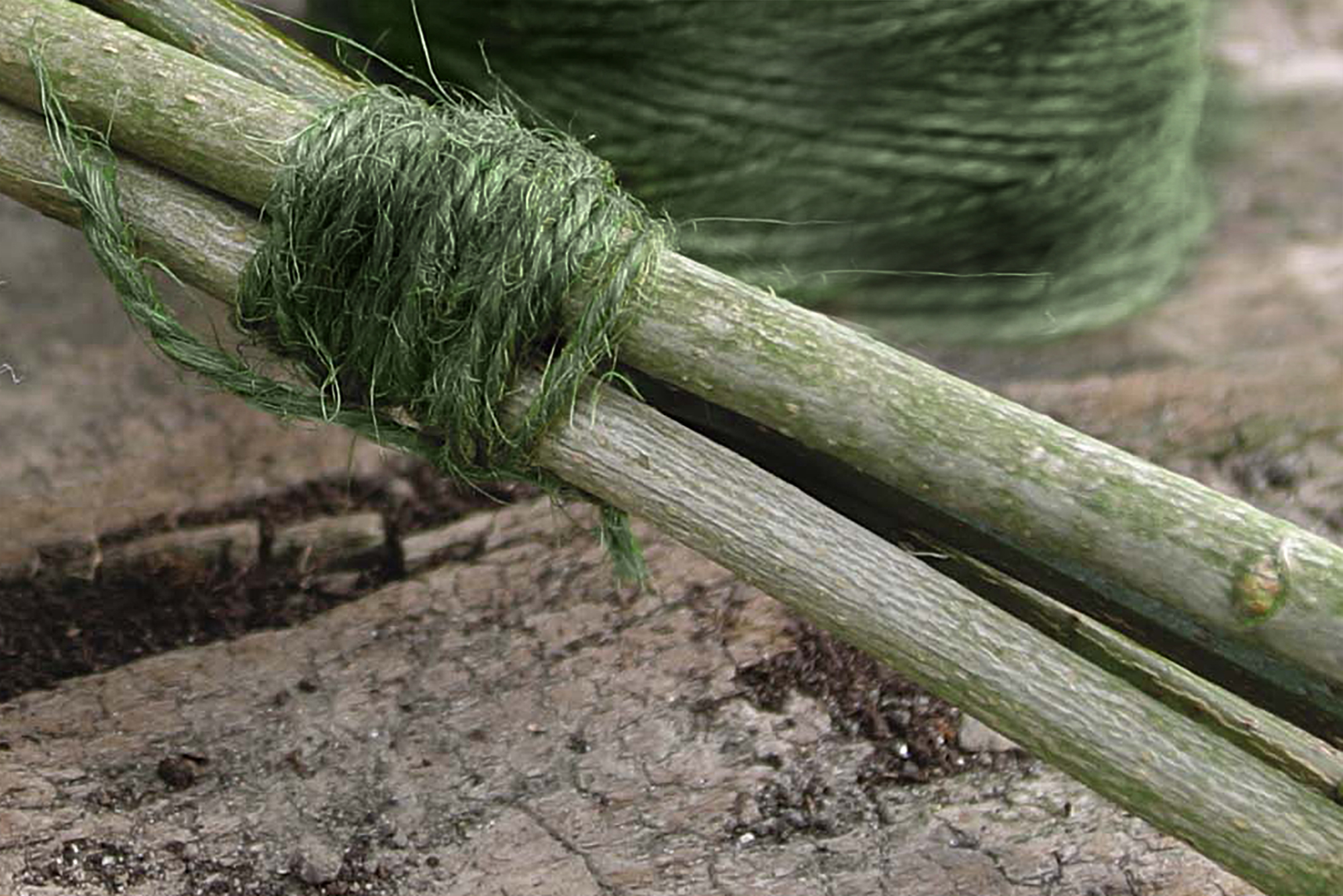 Touw jute L250m groen