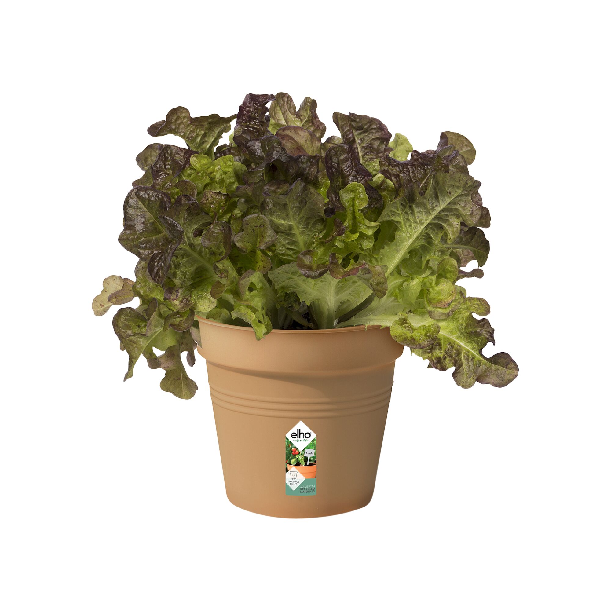 Green Basic Kweekpot mild terra D15 H14