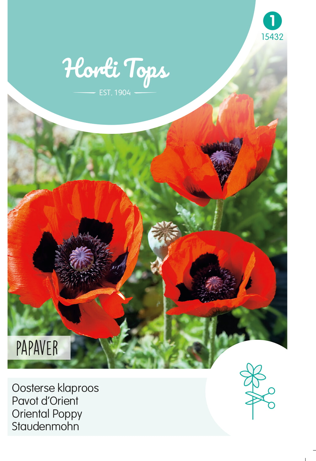 HT Papaver Orientale, Oosterse klaproos rood