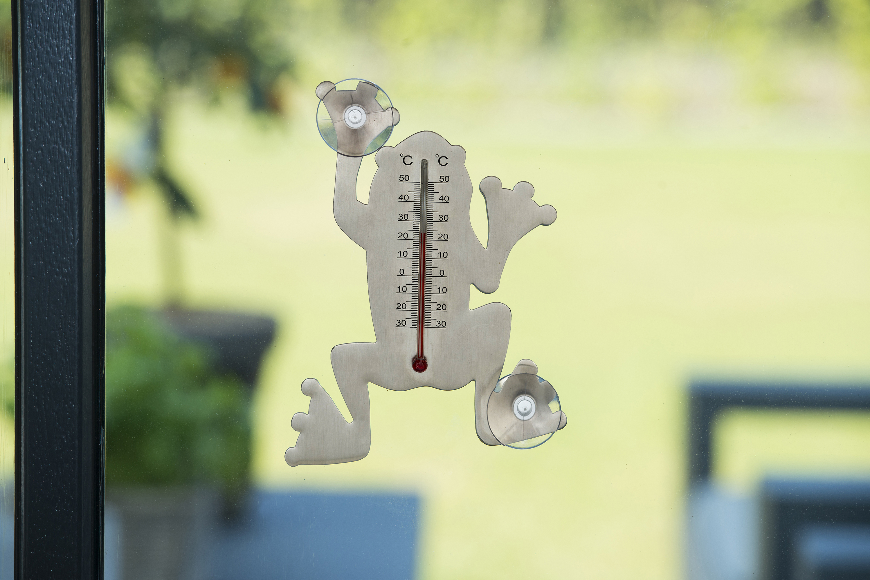 Muurthermometer Metaal met Zuignappen Kikker grijs