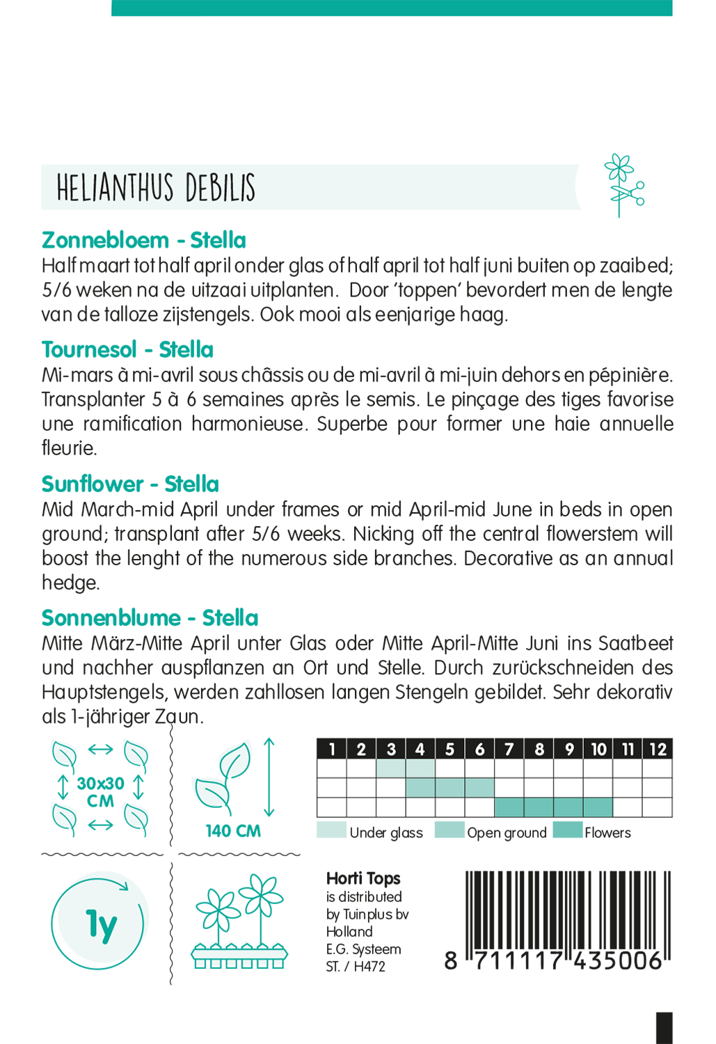 HT Helianthus, Zonnebloem Stella