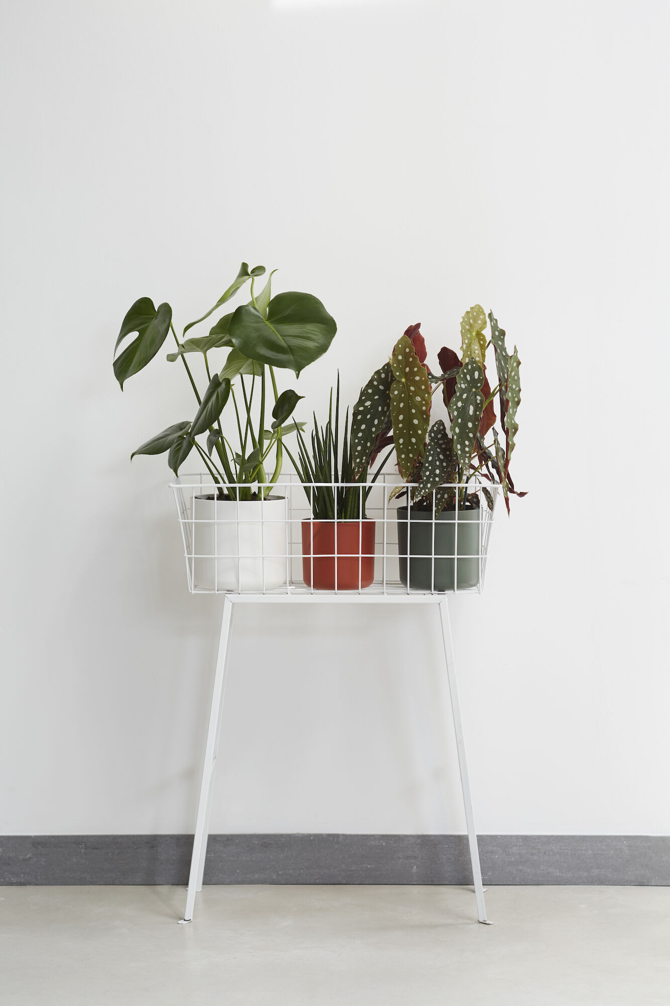 pot b.for soft d16cm wit
