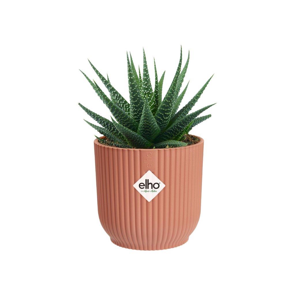 pot vibes fold d7cm delicaatroze