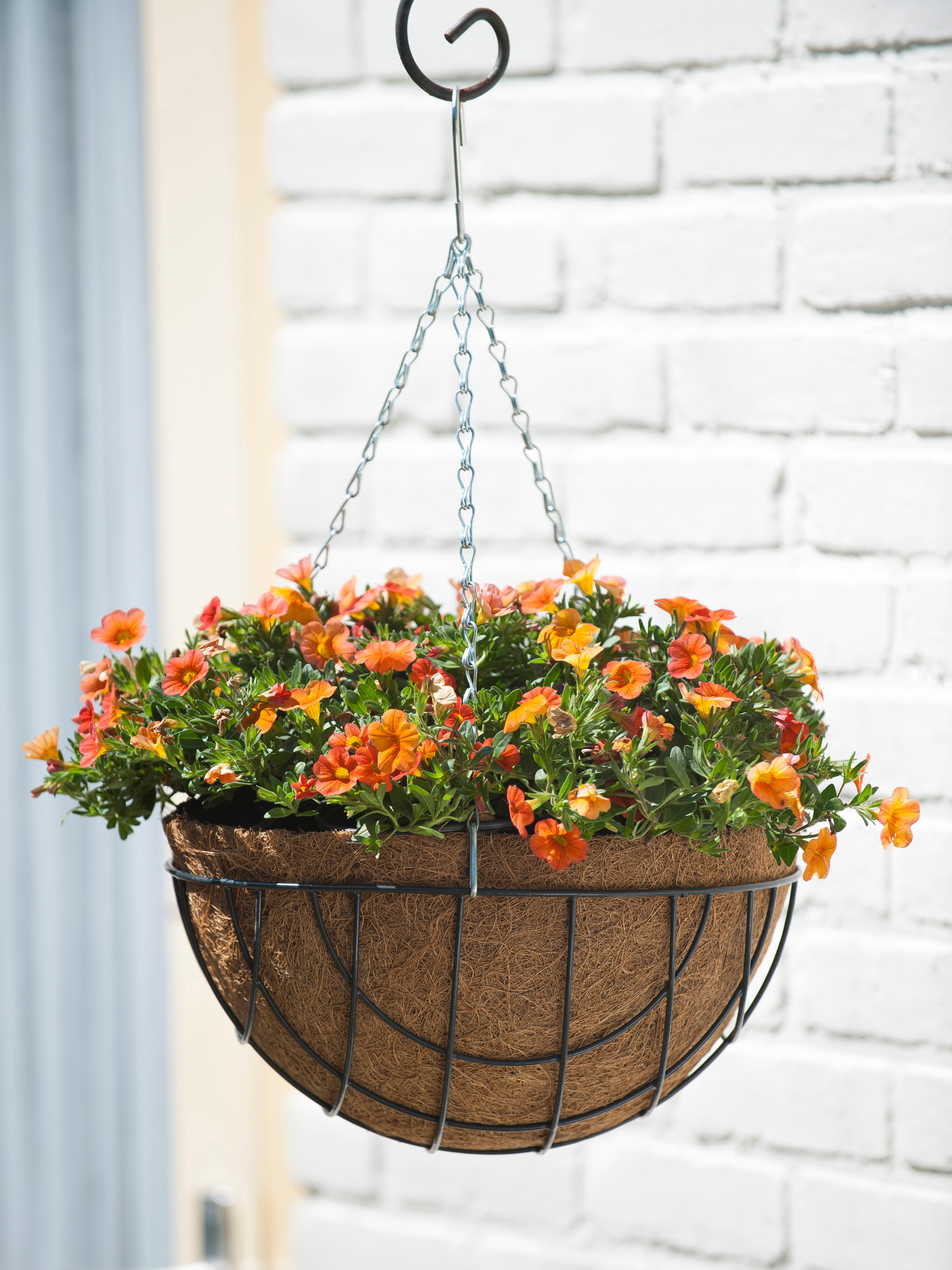 Hanging Basket groen D30cm