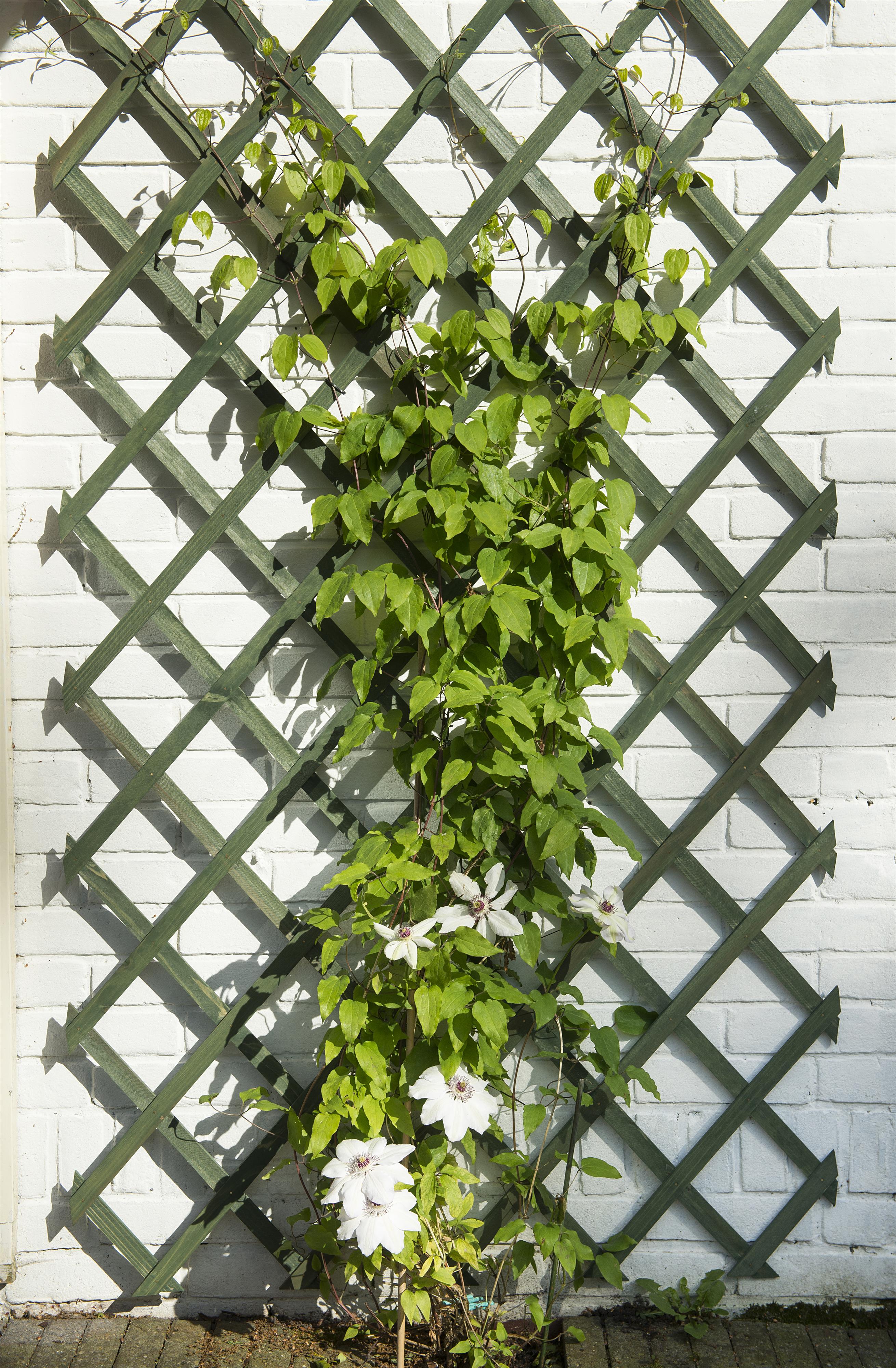 Houten Klimrek groen 100x200cm