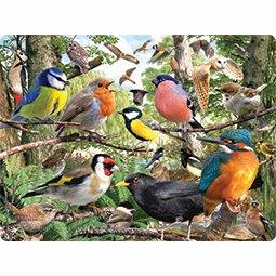 livelife ansichtkaarten -  nature's home