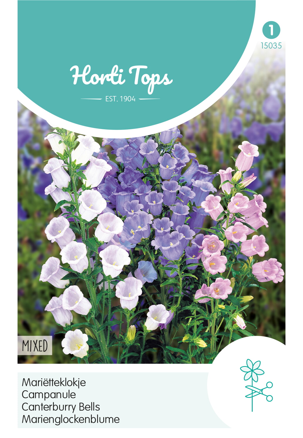 HT Campanula, Mariëtteklokje enkelbloemig gemengd