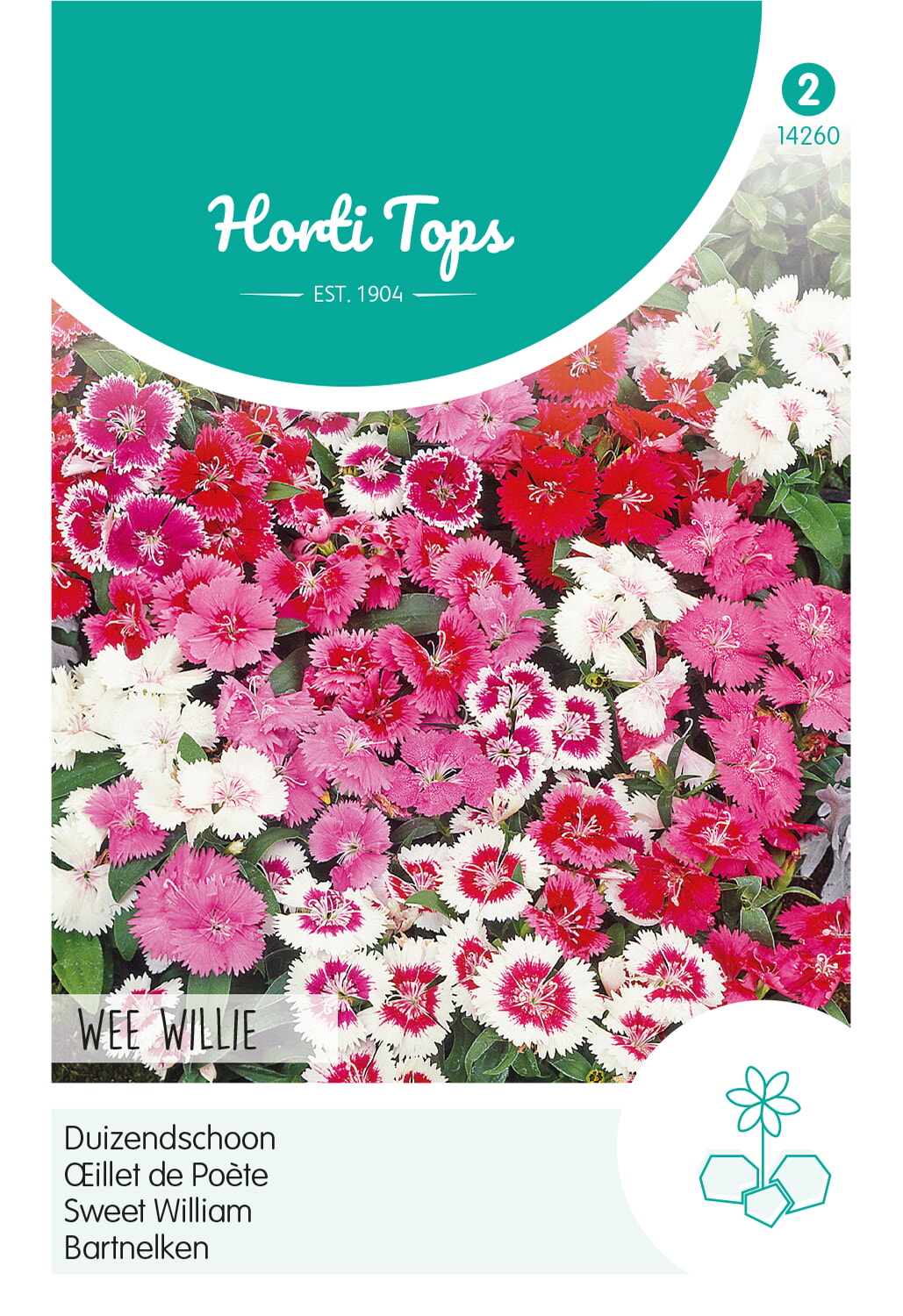 HT Dianthus, Duizendschoon Wee Willie gemengd