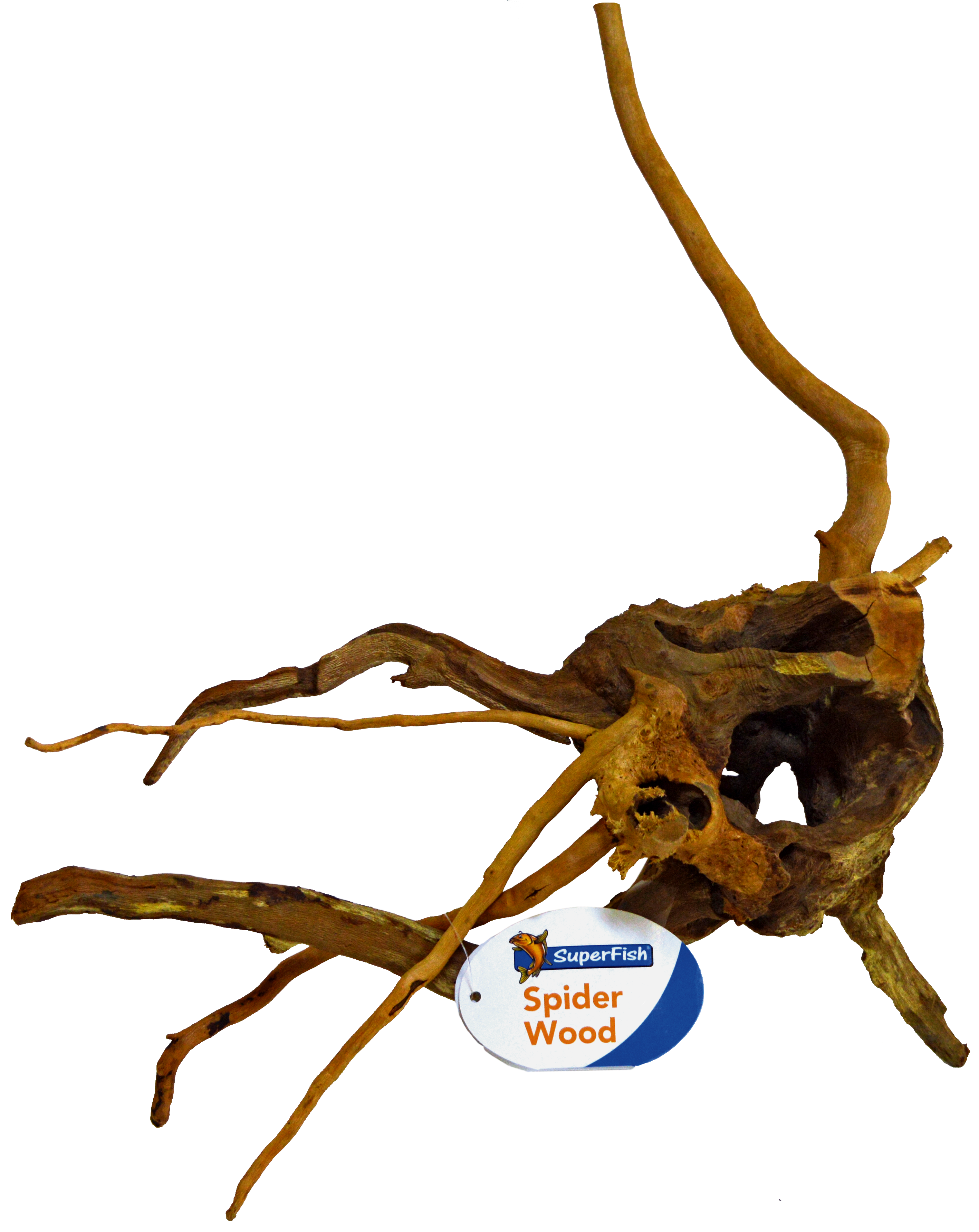 Spiderwood small 20-30cm