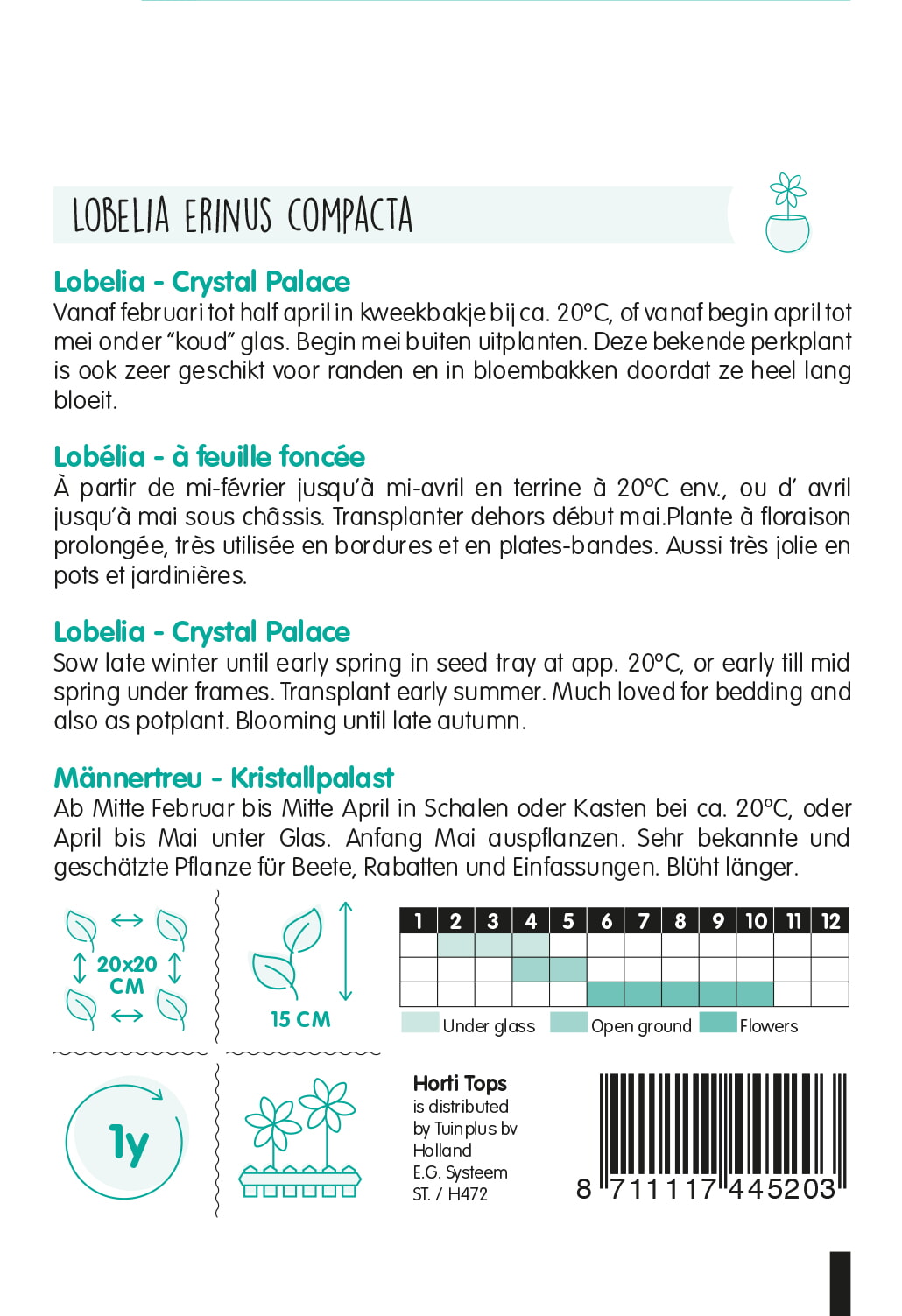 HT Lobelia Crystal Palace
