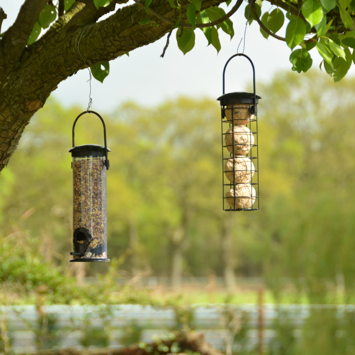 Vogelzaadhouder zwart