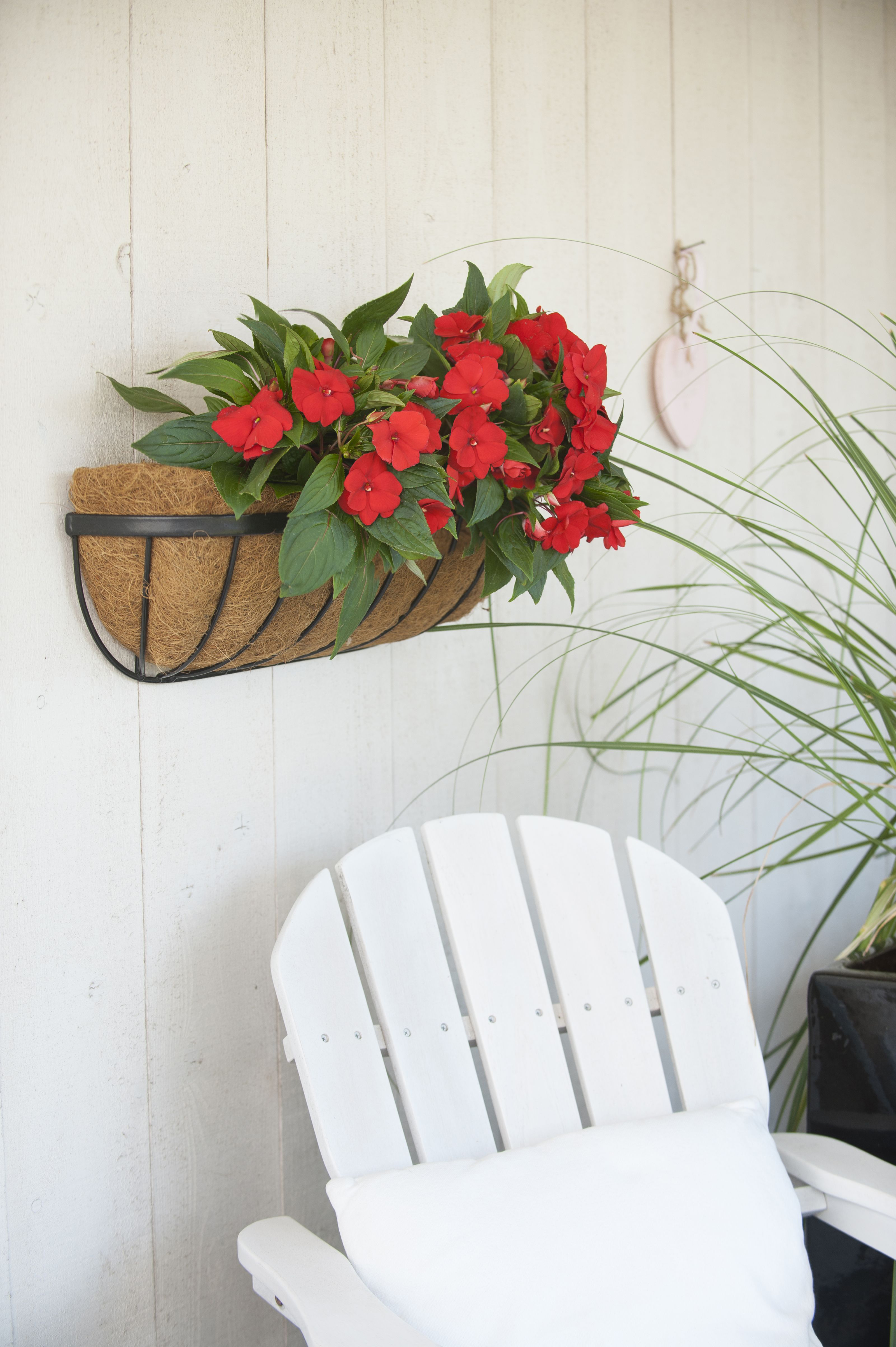 Hanging Basket Smeedijzer zwart H16.5x61x16cm