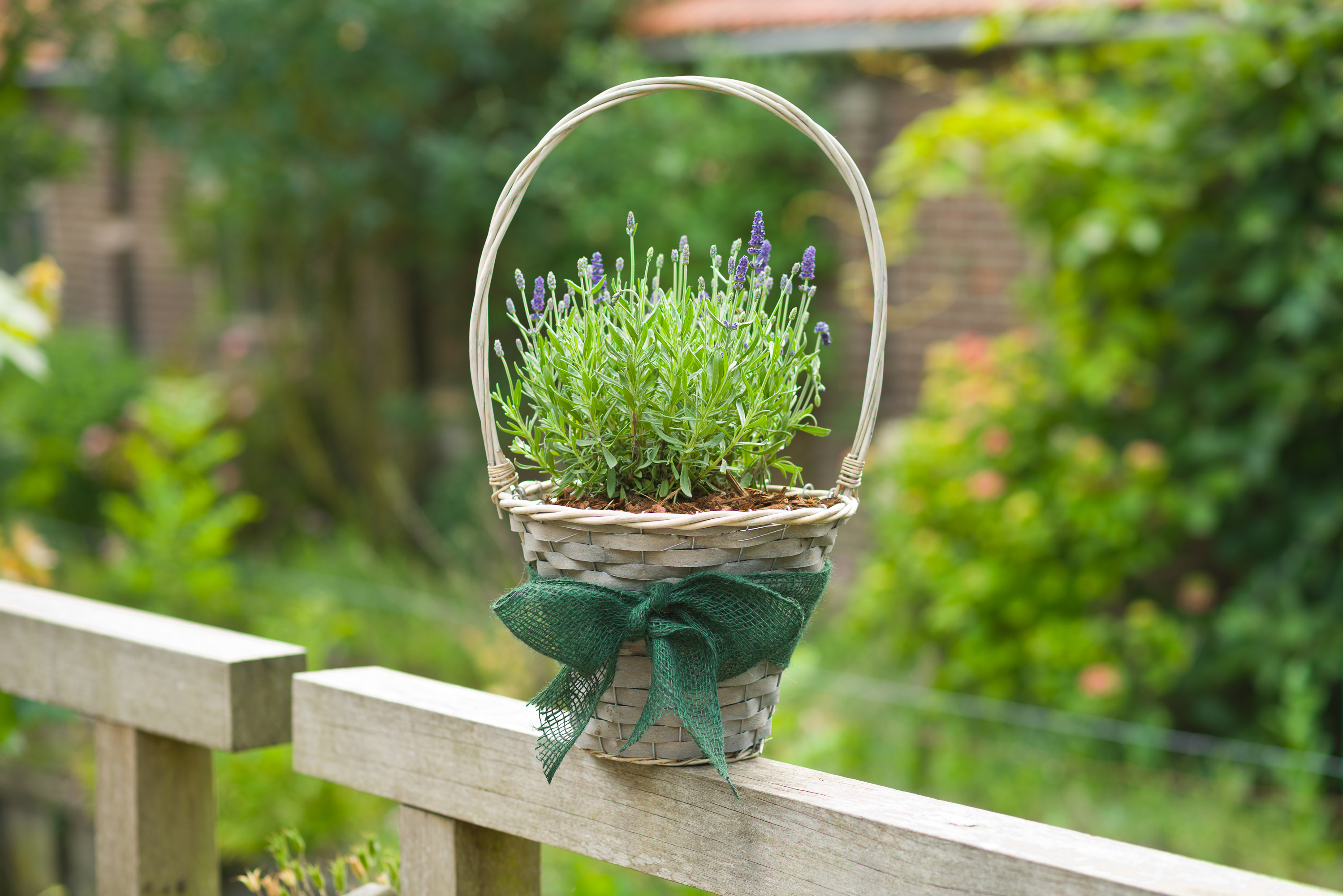 Juteband groen 10cmx25m