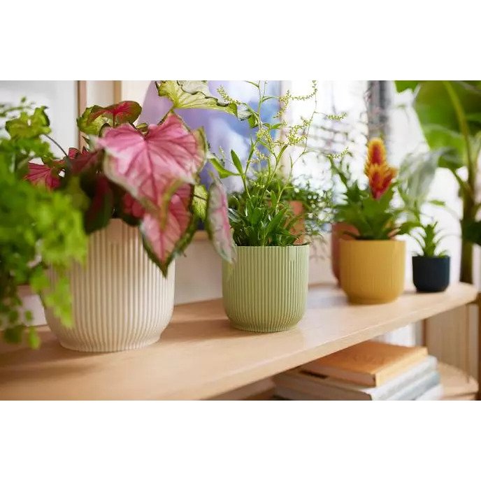pot vibes fold d9cm sorbet groen