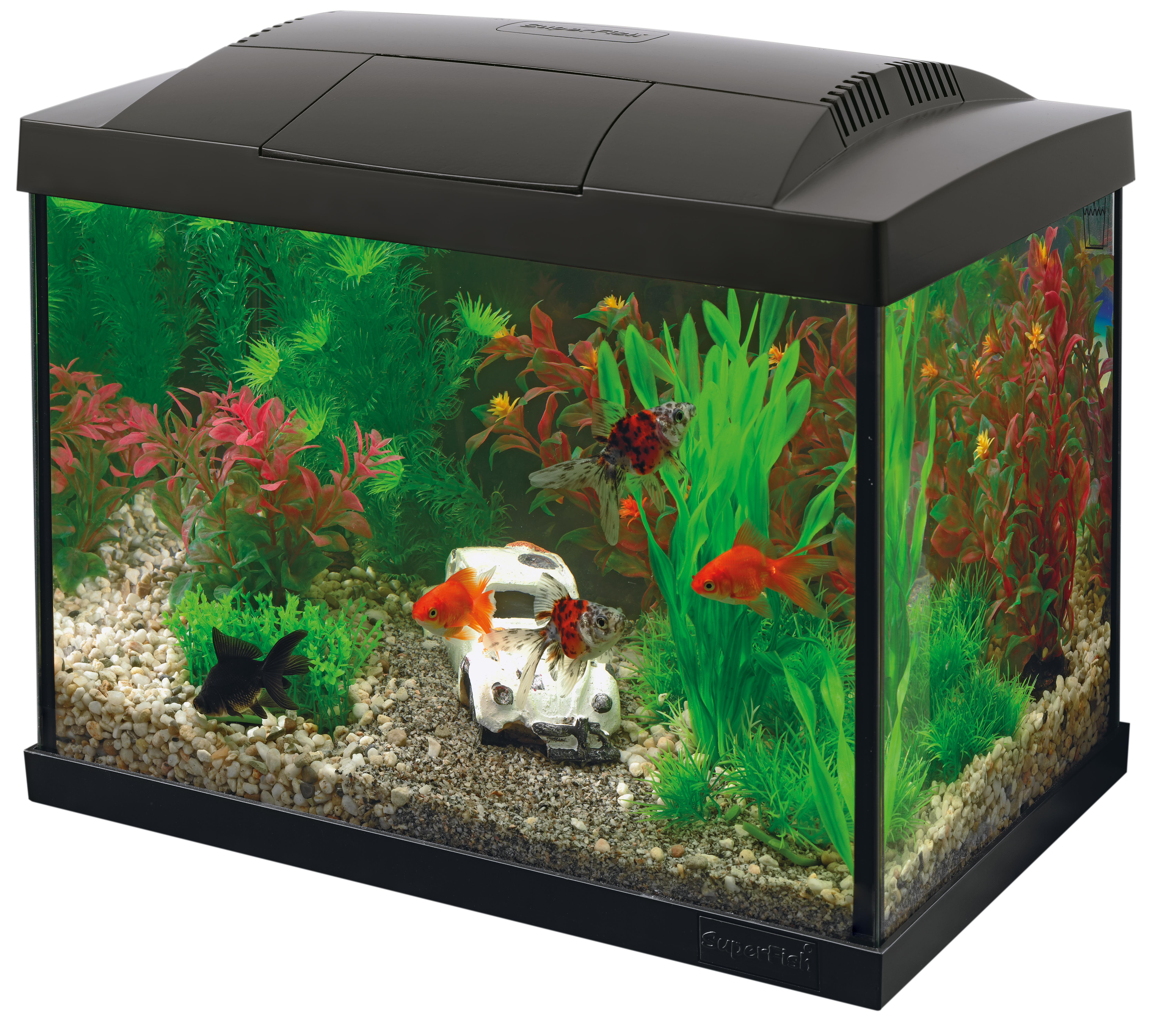 Start 20 goldfish kit zwart