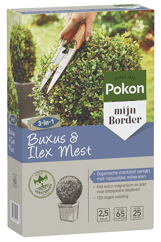 Buxus&ilex mest 2.5kg