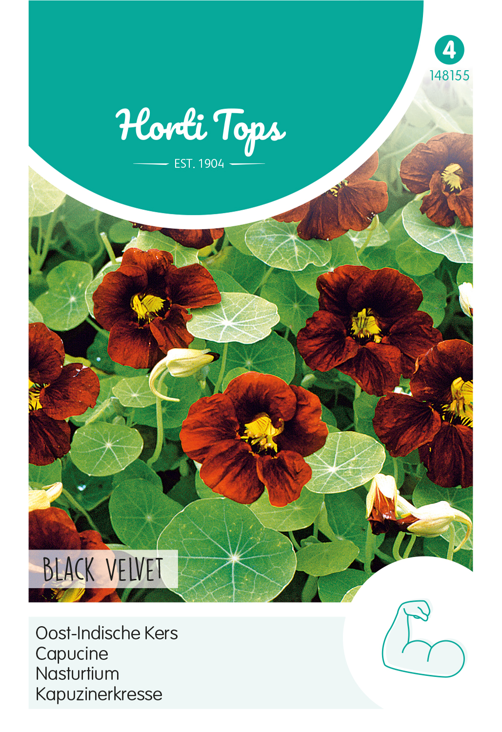HT Tropaeolum, Oost-Indische Kers Black Velvet