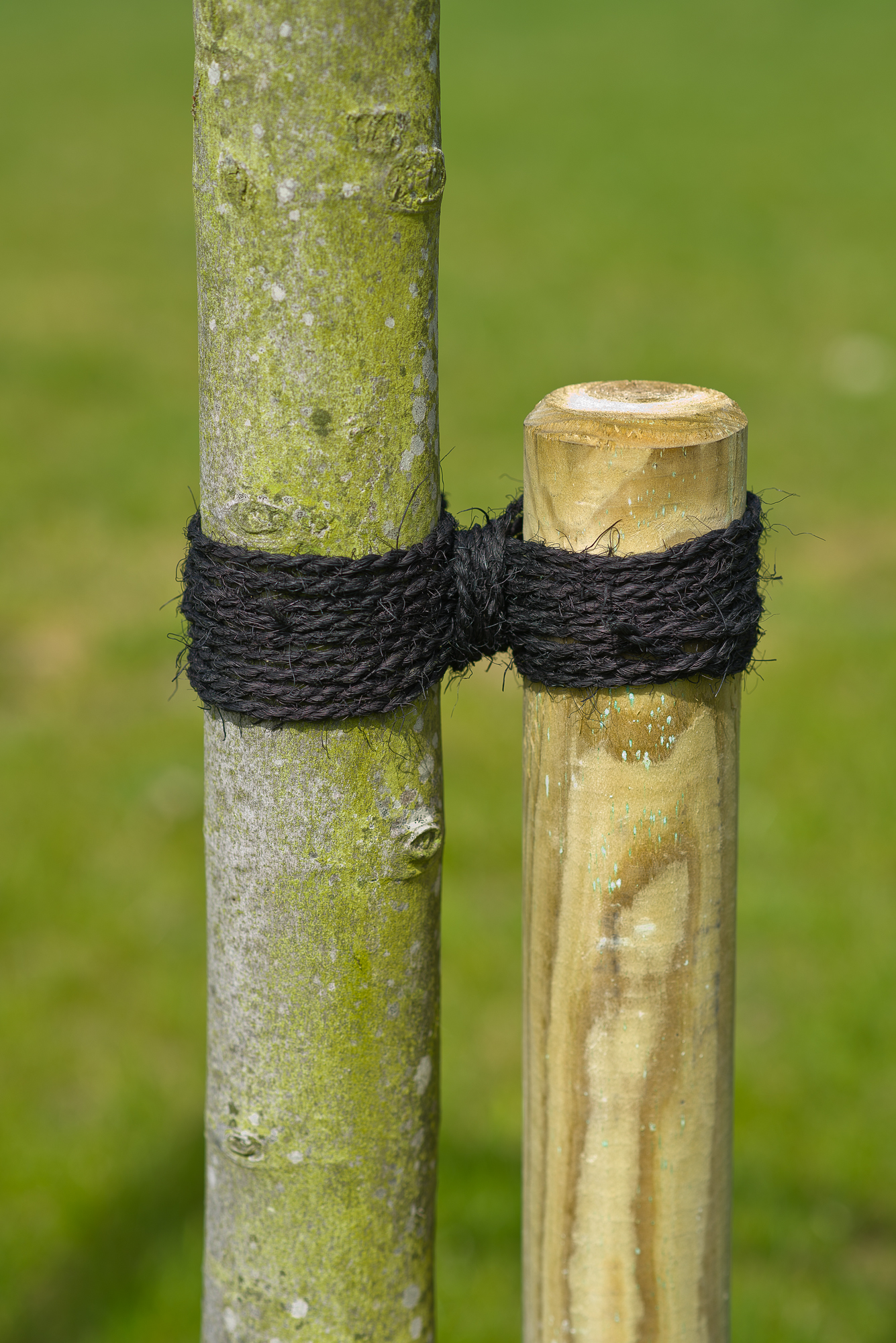 Kokostouw zwart Ø3.5mmx50m