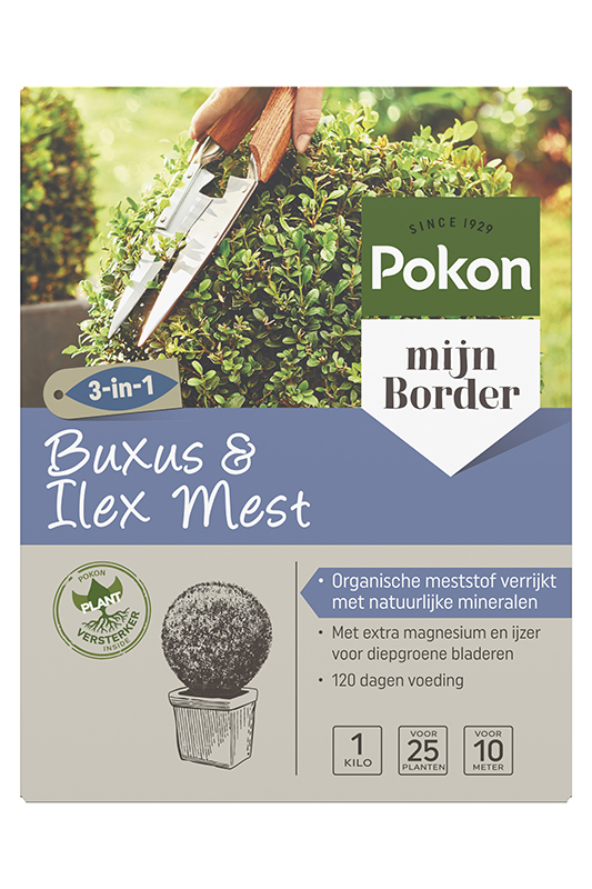 Buxus&ilex mest 1kg