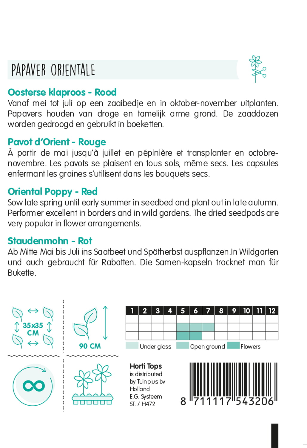 HT Papaver Orientale, Oosterse klaproos rood