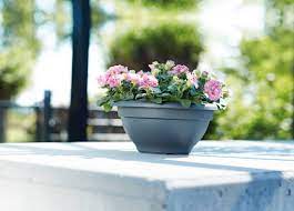 Torino bowl 30cm. antrac.