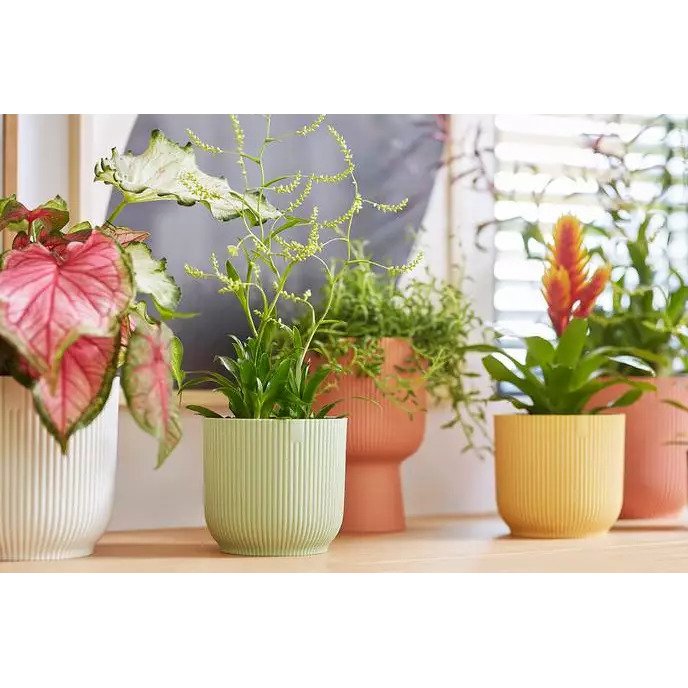 pot vibes fold d7cm sorbet groen