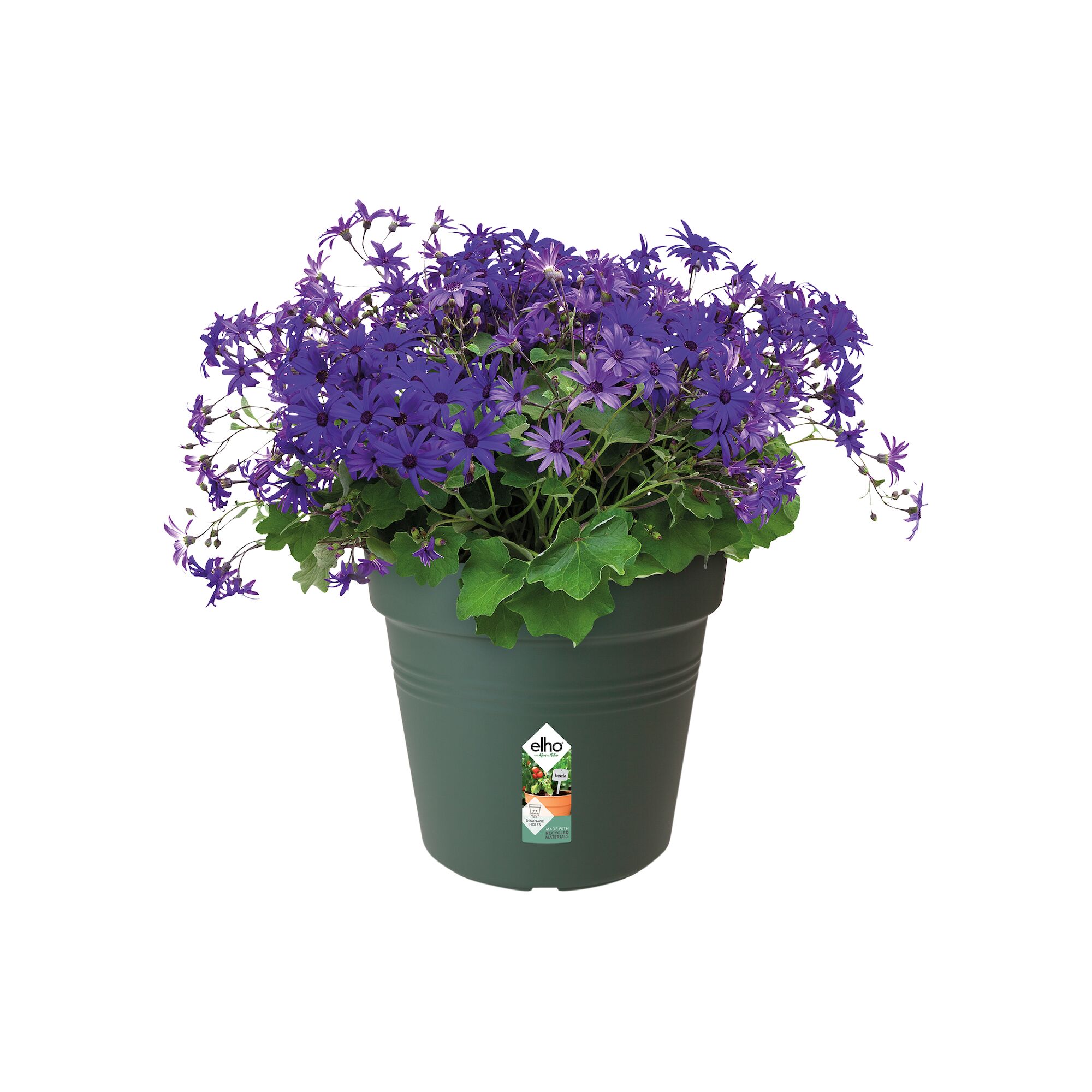green basics kweekpot 13cm blad groen