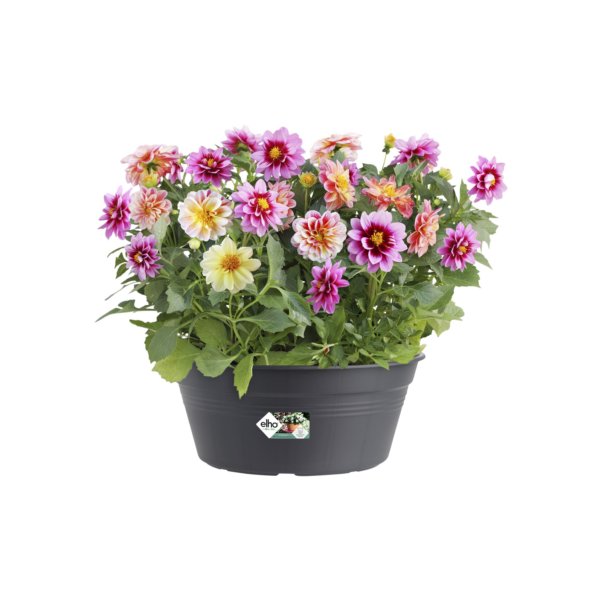 green basics schaal 27cm living black