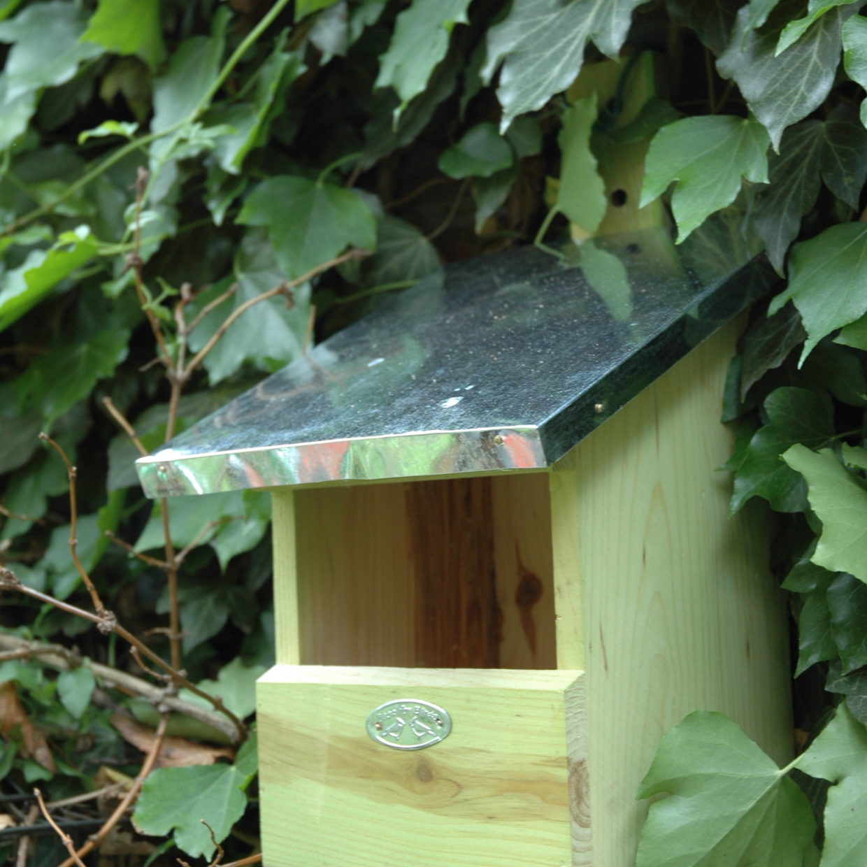 Roodborst nestkast