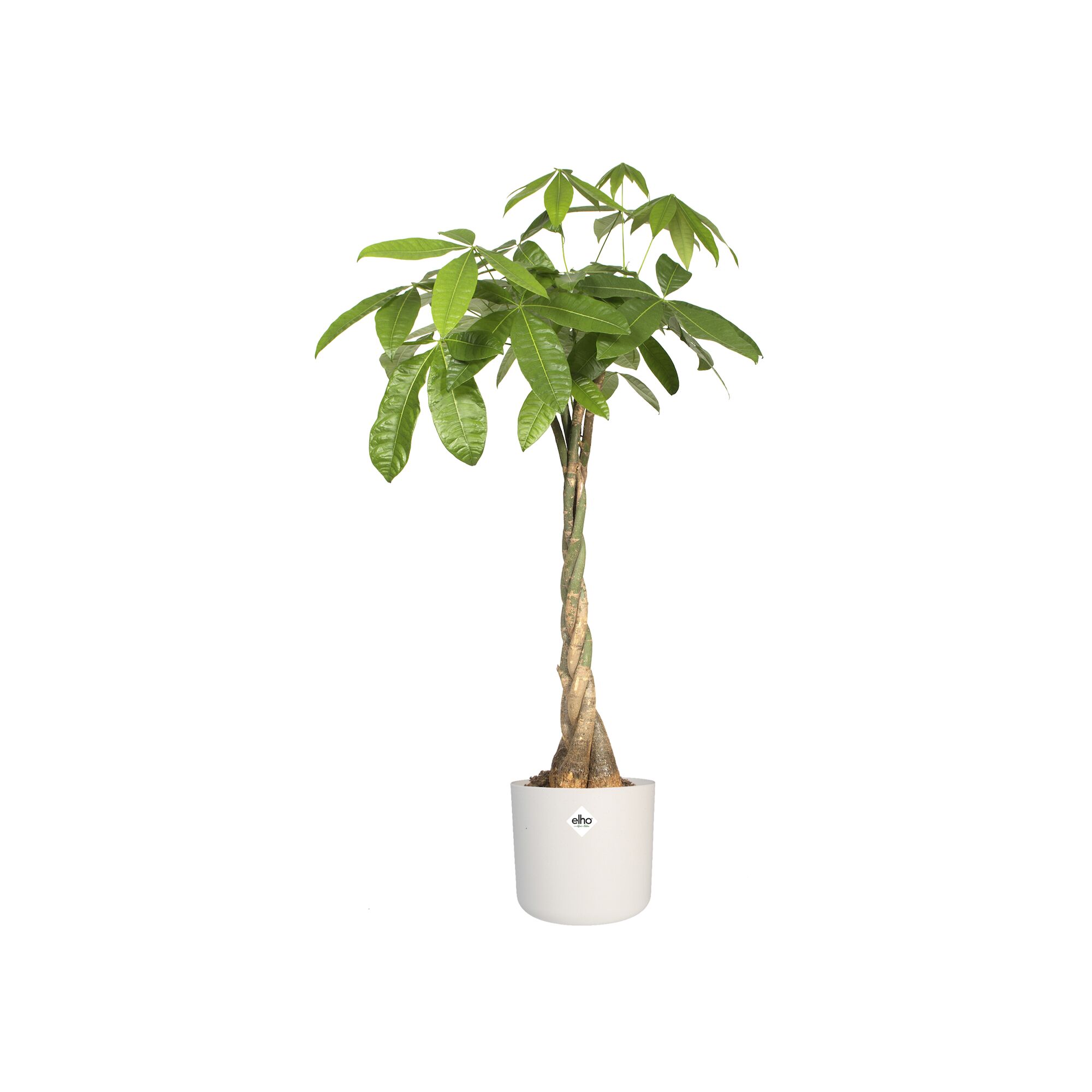pot b.for soft d18cm wit