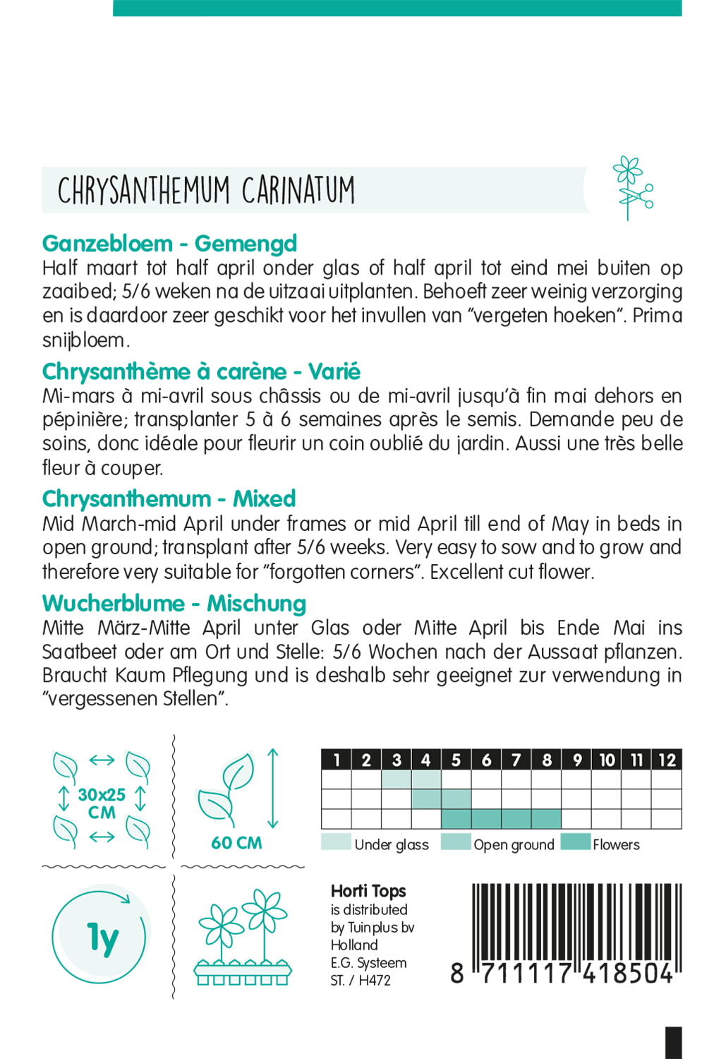 HT Chrysanthemum, Ganzebloem gemengd