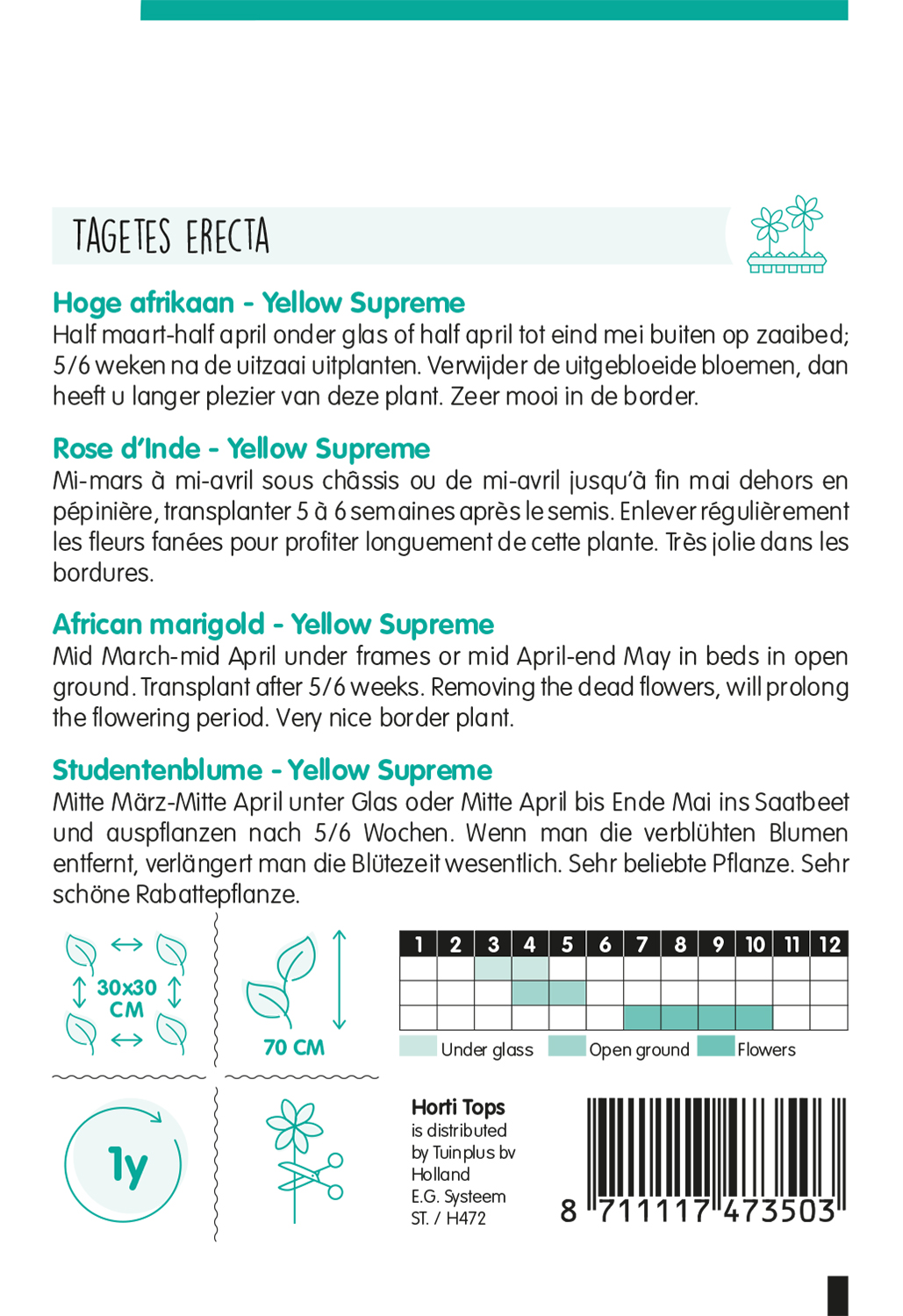 HT Tagetes, hoge Afrikaan Yellow Supreme