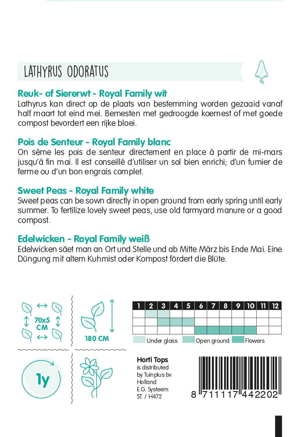 HT Lathyrus, Reuk- of Siererwt Royal Family Wit