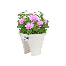 Corsica Flower Bridge 30cm. wit.