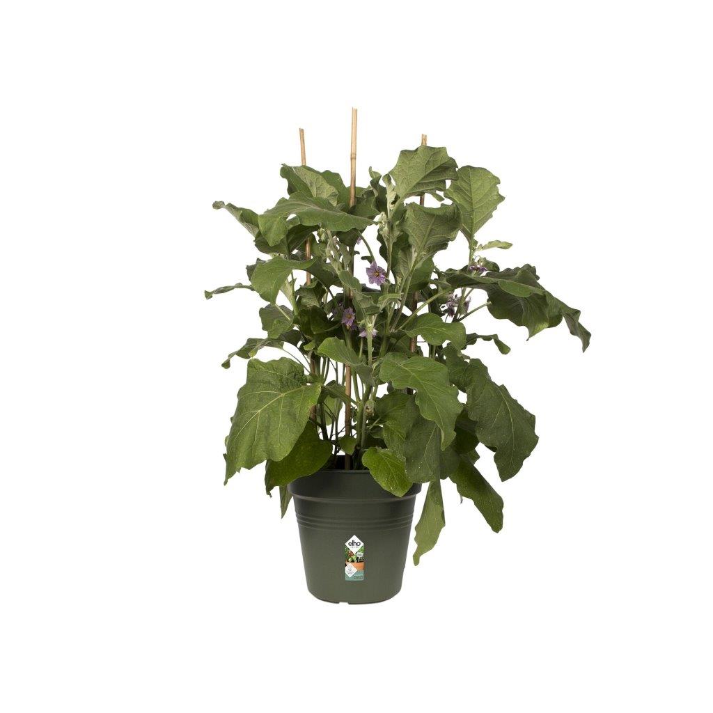 green basics kweekpot 27cm blad groen