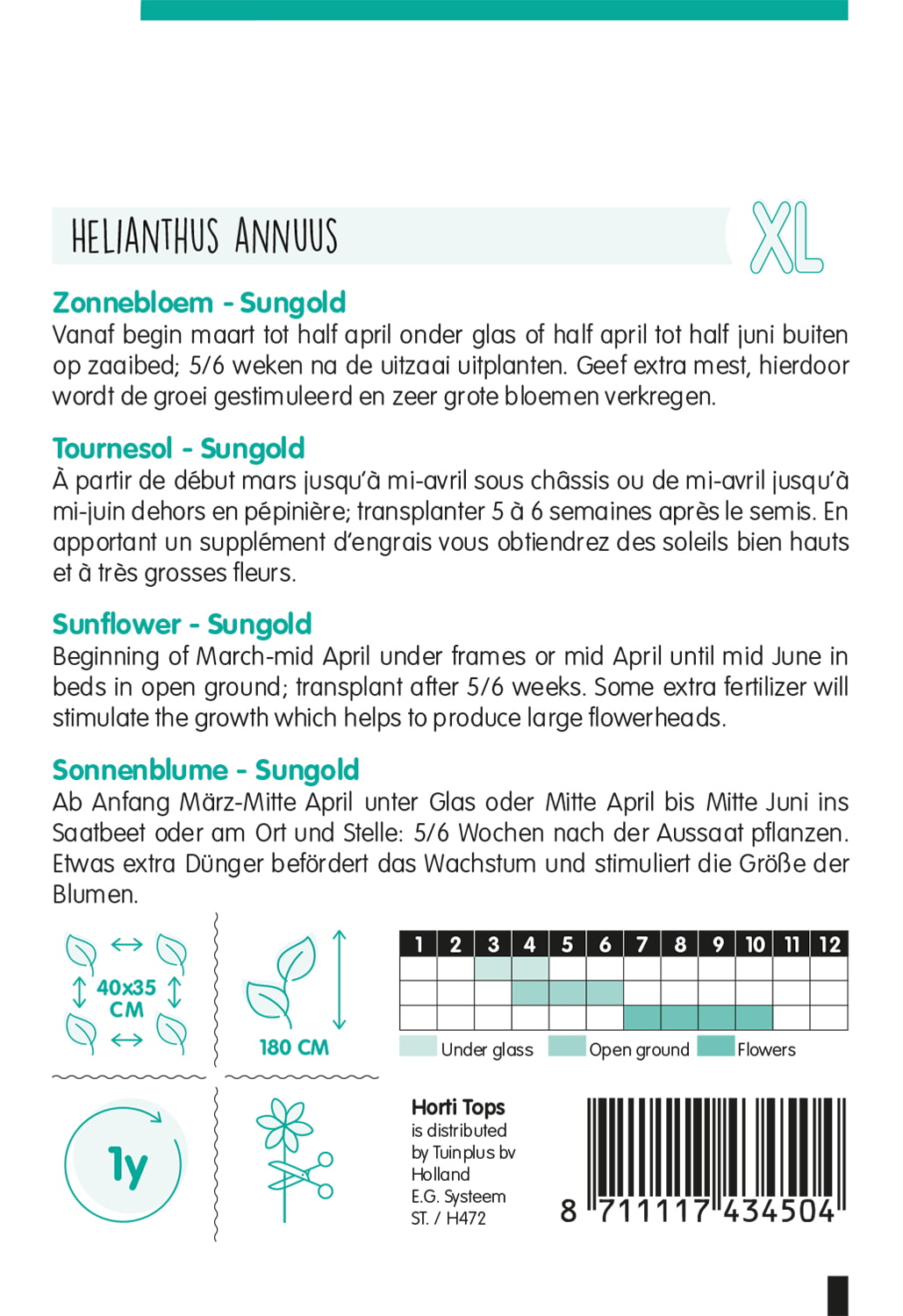 HT Helianthus, Zonnebloem Sungold dubbelbloemig hoog