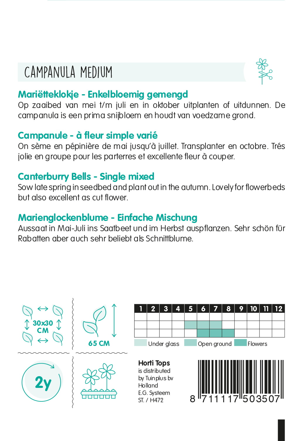HT Campanula, Mariëtteklokje enkelbloemig gemengd