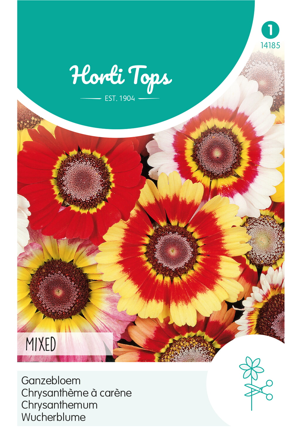HT Chrysanthemum, Ganzebloem gemengd
