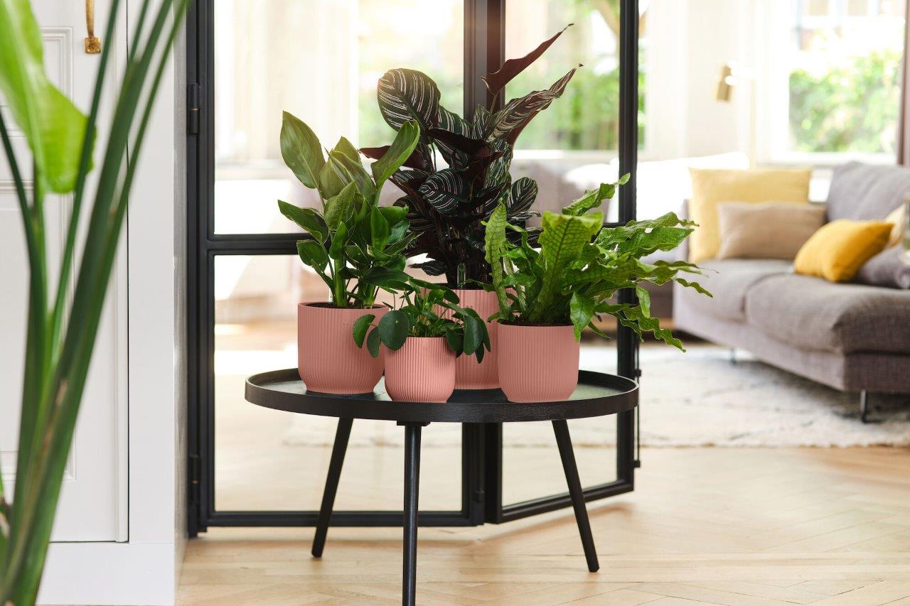 pot vibes fold d18cm delicate roze