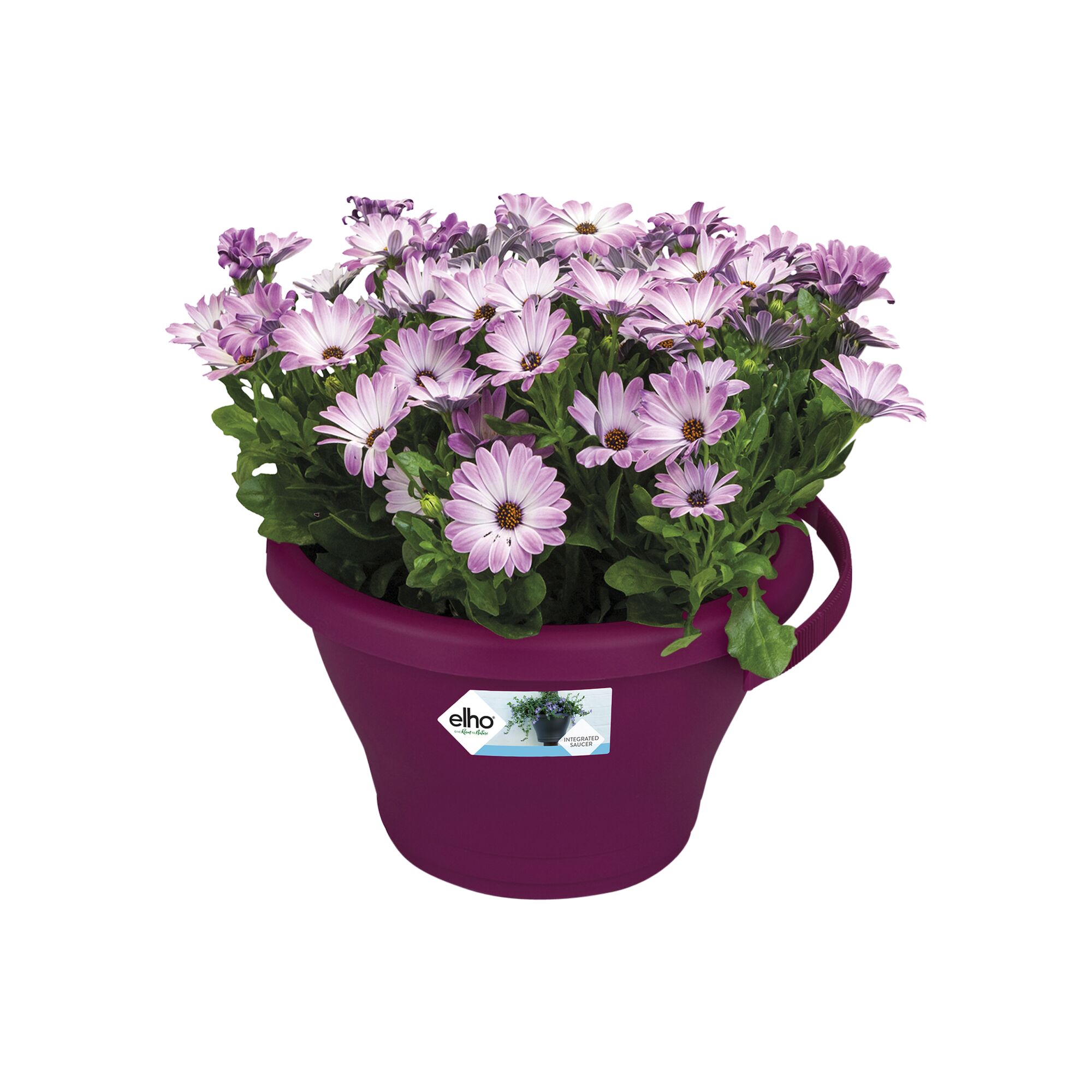 Corsica Regenpijpbakje 24cm cherry