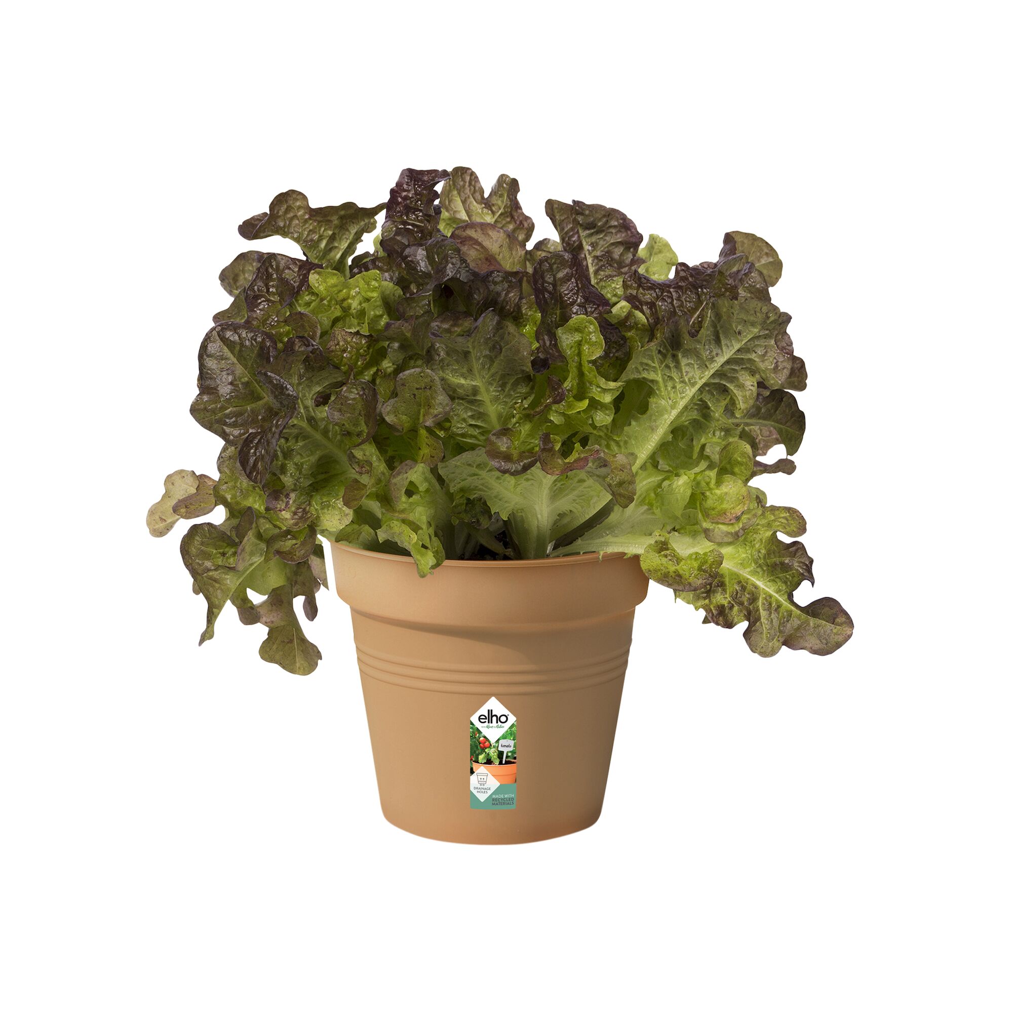 Green Basic Kweekpot mild terra D11 H10