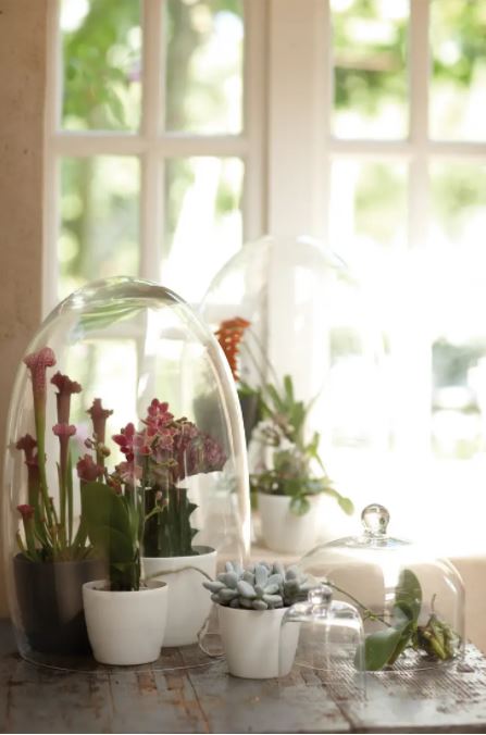 pot brussels d9.5cm wit