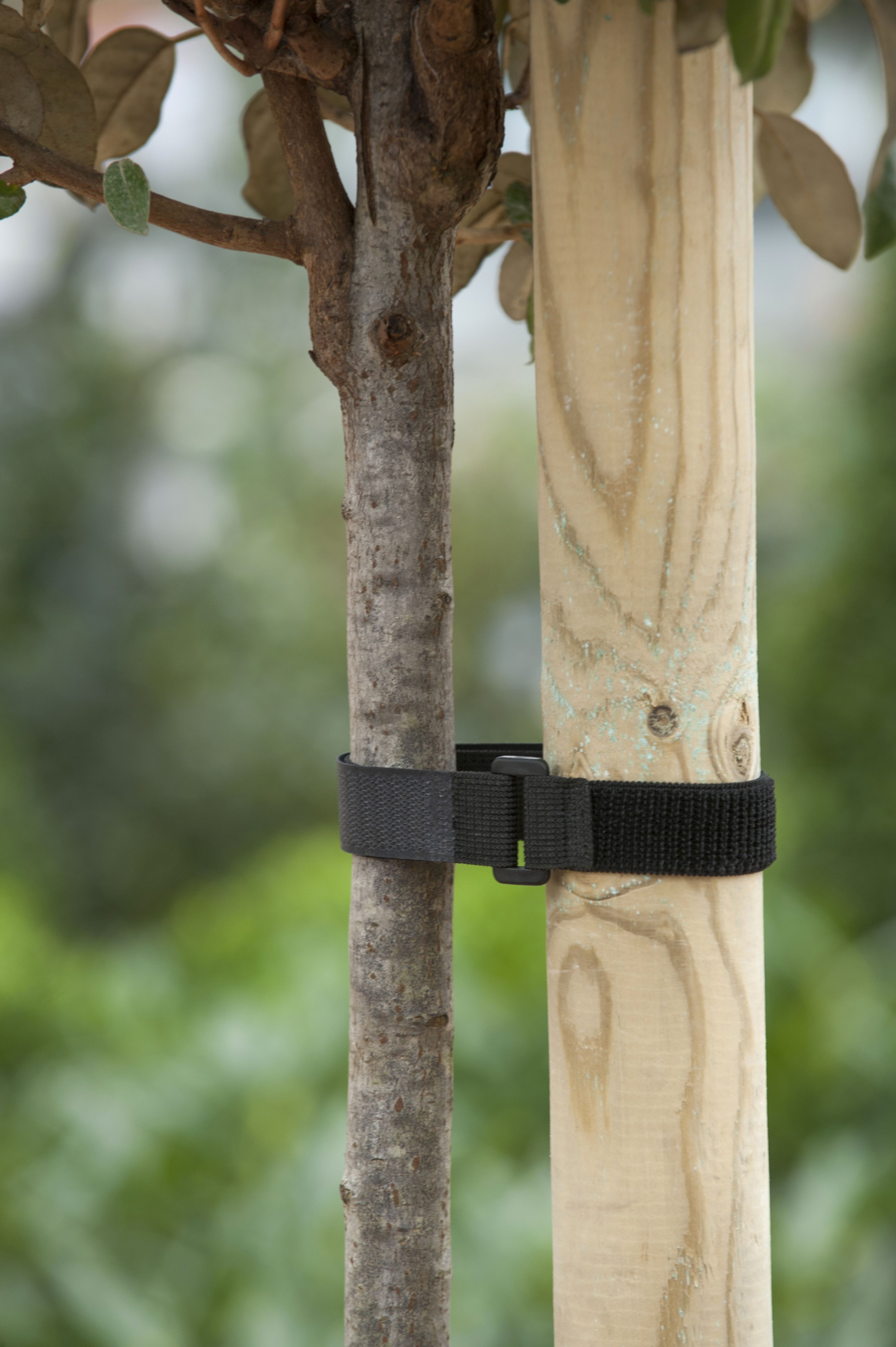 Klittenboomband met Gesp 2 stuks 40x2.5cm