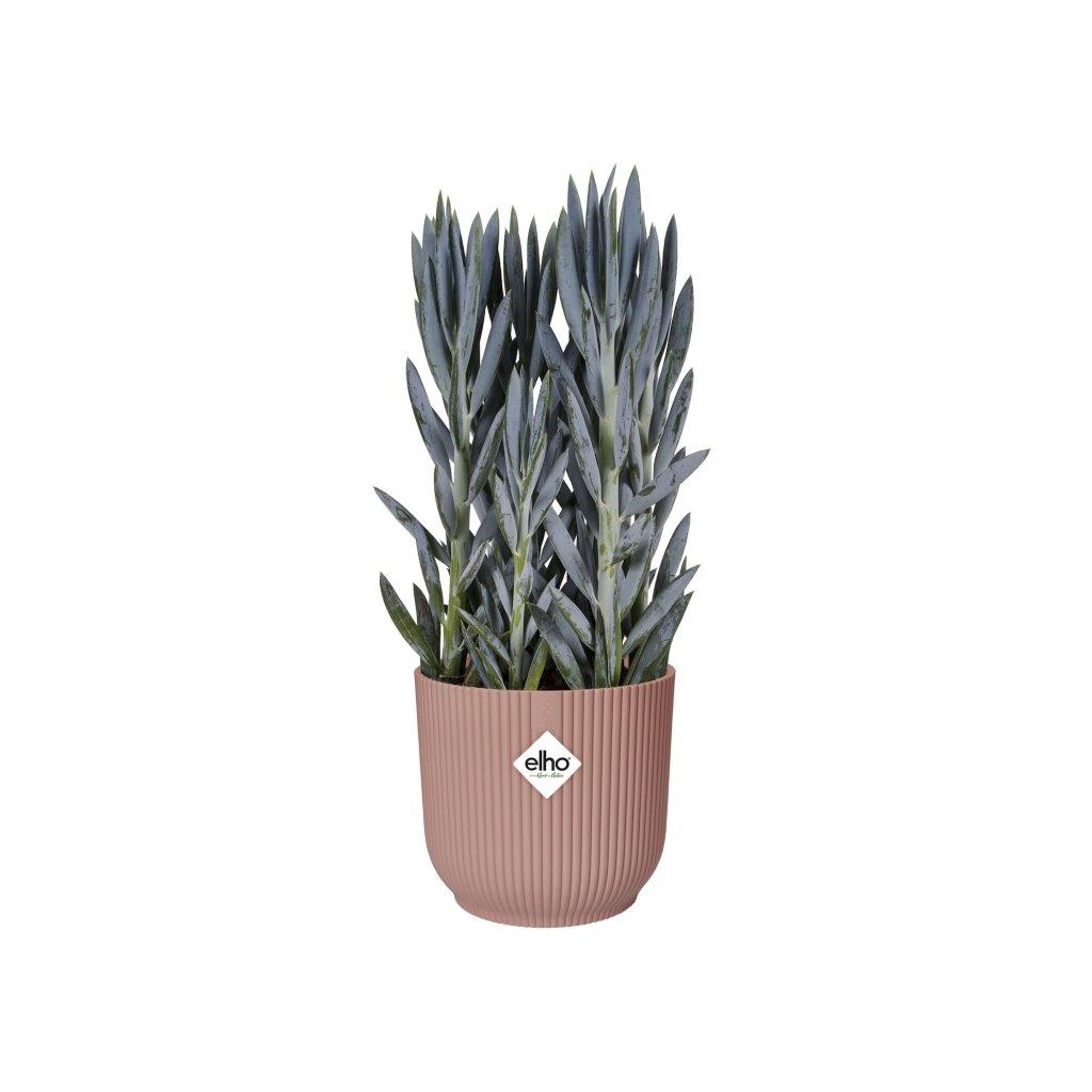 pot vibes fold d16cm delicate roze