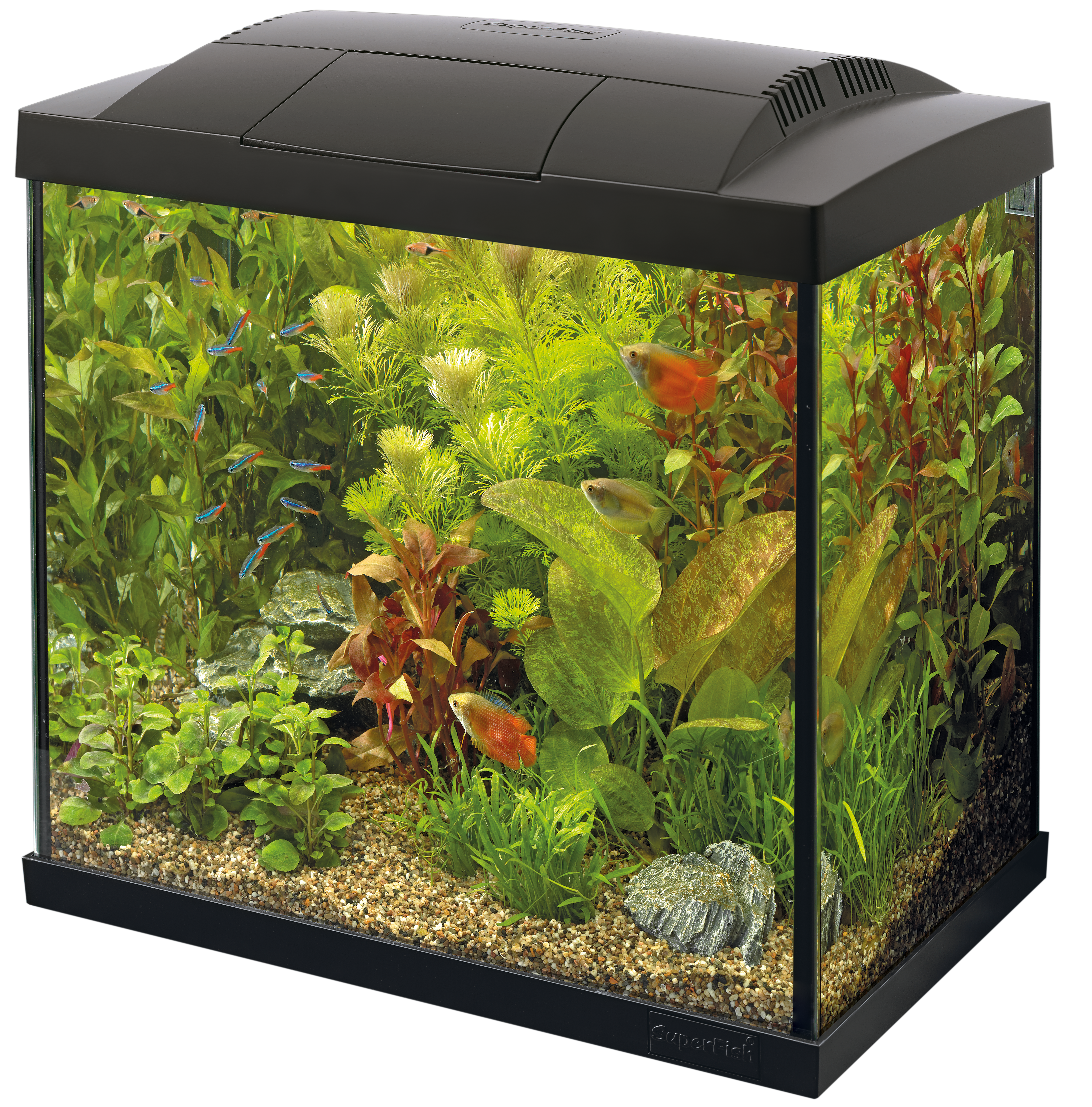 Start 50 tropical kit zwart